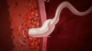 Thumbnail of post image 117