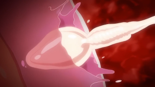 Thumbnail of post image 062