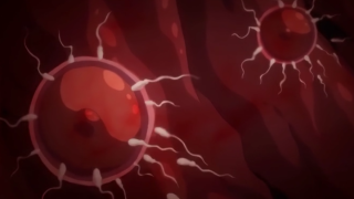 Thumbnail of post image 147