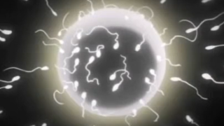 Thumbnail of post image 025